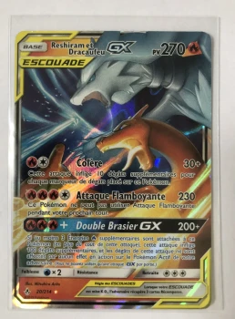Reshiram et Dracaufeu GX 20/214