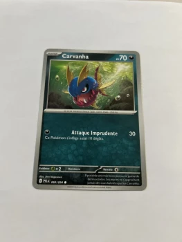 Carvanha 60/94 flammes fantasmagorique