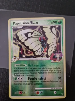 Papilusion FB reverse 17/147