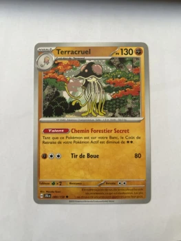 Terracruel 89/159 Aventure ensemble