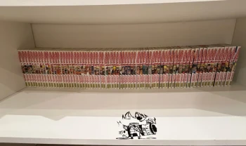 Lot complet Naruto – 72 tomes – État excellent