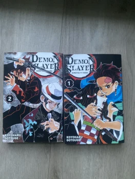 Tome 1 et 2 de Démons slayer