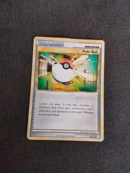 Traîner Poke Ball