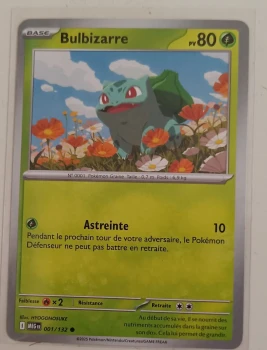 Bulbizarre Herbizarre et Méga Florizarre Ex