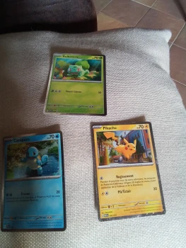 Carte pokemon