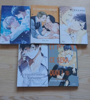 Lot de yaoi