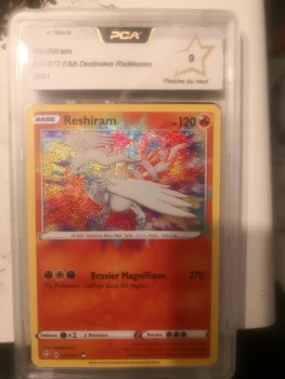 Carte pokémon
