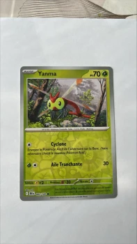 Yanma 2/182 Rivalités destinées