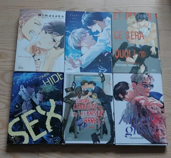 Lot de yaoi