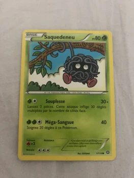 Carte saquedeneu 1/114