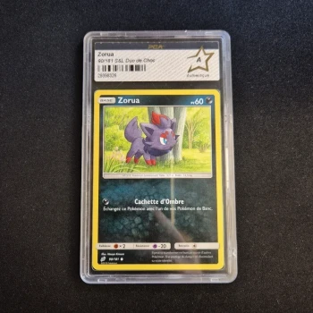 Carte Pokemon : Zorua - Duo de Choc