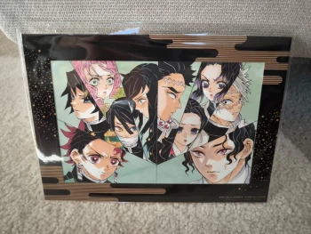 Kimetsu no Yaiba / Demon Slayer – Carte Collector Cinéma 2025 (Édition Limitée Japon) 🔥