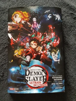 Demon Slayer le train de l'infini