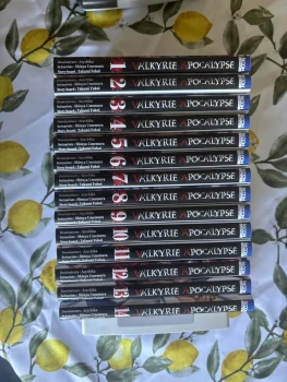 Valkyrie apocalypse 1 à 14