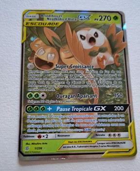 Brindibou et Noadkoko d'Alola escouade