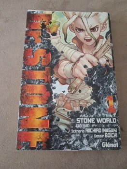 Dr Stone