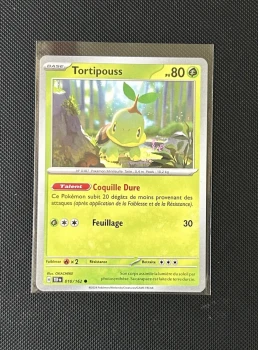 Carte Pokémon - Tortipouss 10/162 - Force Temporelle