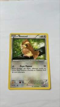 Roucoul 75/106 Etincelles