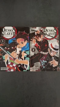 Demon Slayer tome 1&2