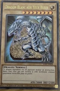 Dragons au yeux bleu