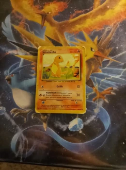 Carte pokémon