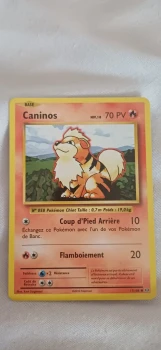 Carte pokémon Caninos