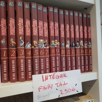 Intégral Fairy Tail (63 tomes)