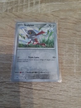 Carte Pokémon  scalpion