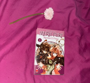 Meru puri