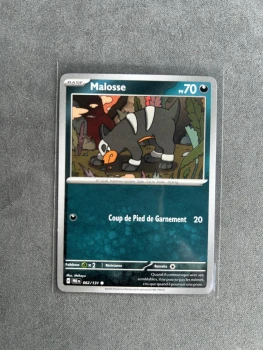 Carte Pokémon - Malosse - 062/131
