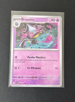 Carte Pokémon - Branette 91/217 - Héros Transcendants