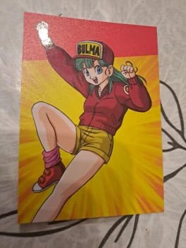 D17 dragonball universal collection panini
