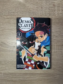 Demon Slayer Tome 1