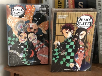 Demon Slayer lot de 2 coffrets collector