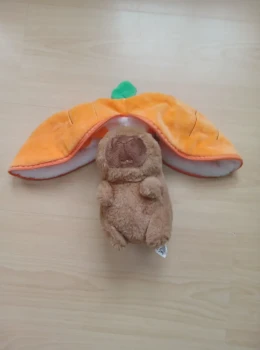 Peluche carotte 🥕