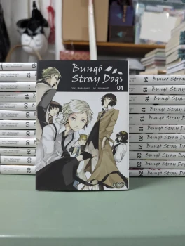 Bungo Stray Dogs 1 à 24, en très bonne état + Poster offert