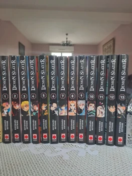 Demon slayer 1 à 13 très bon état