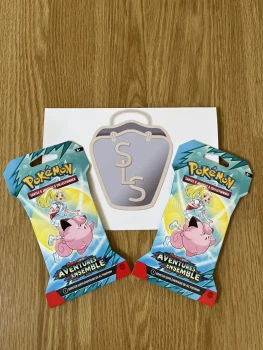 Booster Pokémon, Aventures ensemble EV09, en français sous blister x2