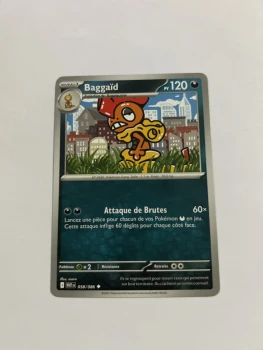 Baggaïd 58/86 Flamme blanche