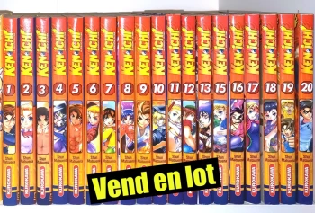Kenichi : 19 tomes (sur 29)