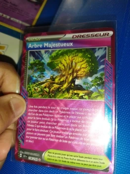 Arbre majestueux