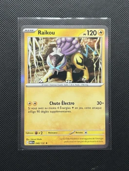 Carte Pokémon - Raikou 48/132 - Holo - Méga Évolution
