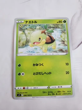 Carte pokemon