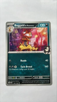 Baggaid 133/182 Rivalités destinées