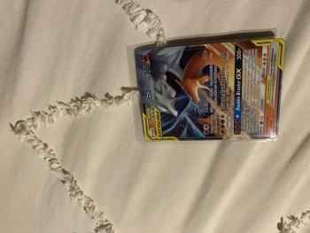 Duo reshiram, dracaufeu