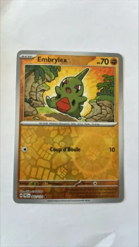 Embrylex 47/131 evolutions prismatiques