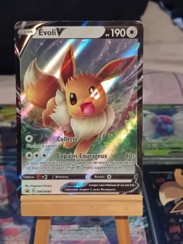 Carte pokemon