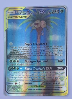 Brindibou et Noadkoko GX
