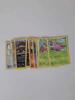 Lot de 25 cartes Noir et Blanc Dragons exaltés