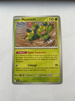 Maracachi 8/159 Aventures ensemble